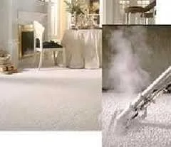 Limpeza de Carpetes a Seco
