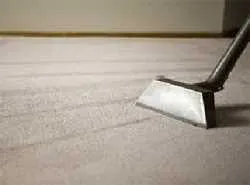 Limpeza de Carpetes a Seco Imagem