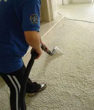 Limpeza de carpetes à seco Lavagem de carpetes à seco