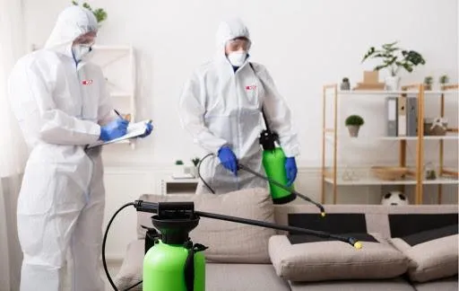 Sanitização de ambientes em Guarulhos