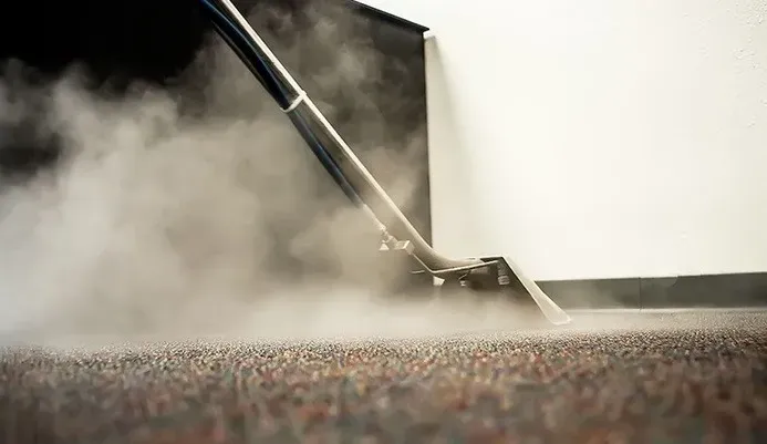 Lavagem de carpetes2